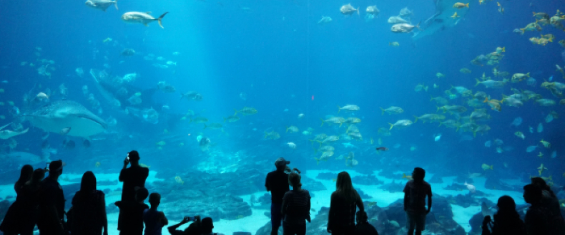 Explore the Best Zoos and Aquariums in Metairie, LA