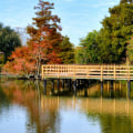 Exploring Metairie, Louisiana: The Best Things to Do